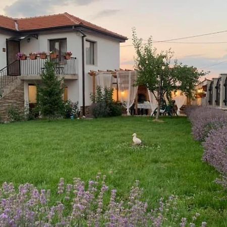 Villa Anika Mezek Exterior foto