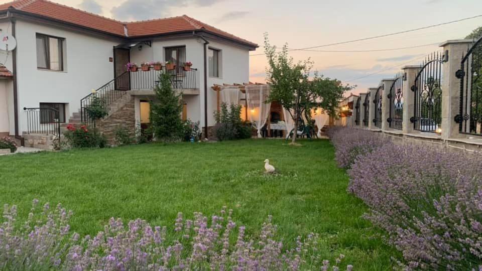 Villa Anika Mezek Exterior foto